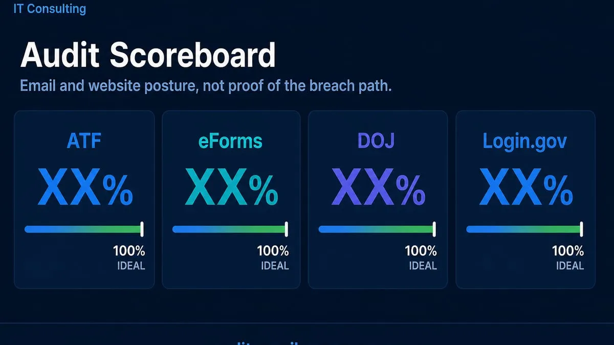 Domain audit scoreboard versus the 100 percent ideal